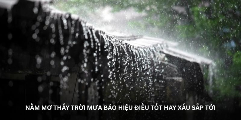 Giải mã giấc mơ thấy trời mưa theo từng chi tiết cụ thể