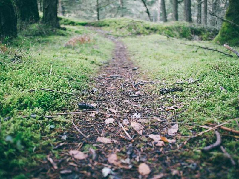 Xổ số miền Bắc hôm nay - Cập nhật kết quả mới nhất