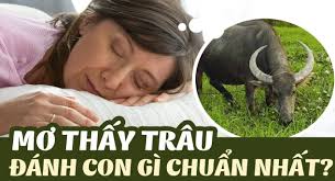 Nằm mơ thấy trâu là điềm gì, đánh con nào? Giải mã giấc mơ về sức mạnh và no đủ