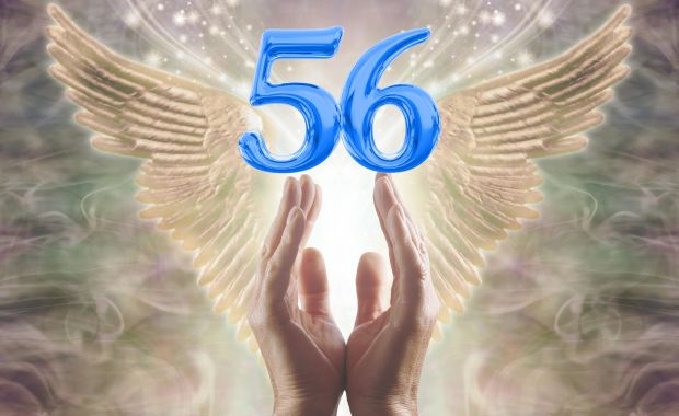 Nằm mơ thấy số 56 đánh con gì? Giải mã bước chuyển về tài lộc và sự thay đổi vững chắc