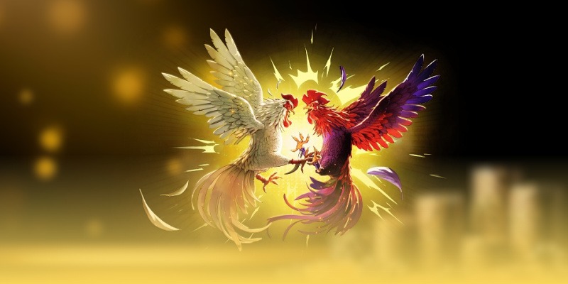 Ứng Dụng Đá Gà Không Quảng Cáo Giải Pháp Cho Người Yêu Thích Đá Gà