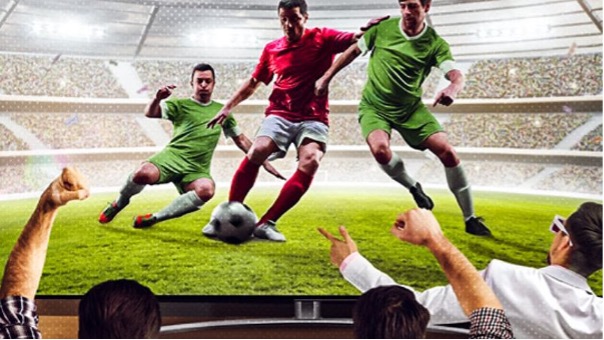 7M - Trang web hỗ trợ cá cược bóng đá trực tuyến hiệu quả