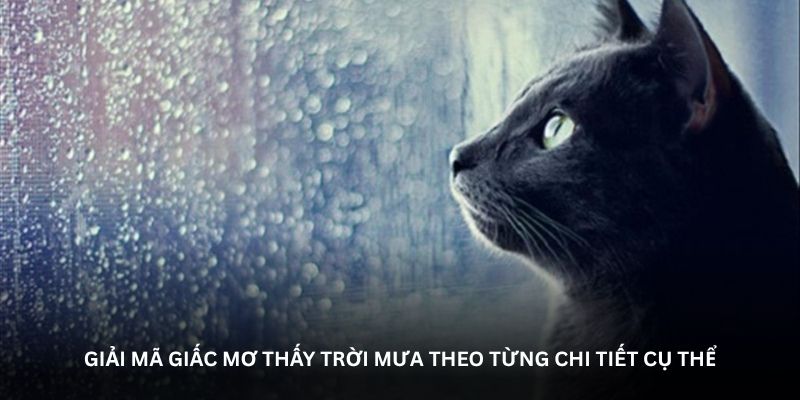 Nằm mơ thấy trời mưa - Những điềm báo đặc biệt hôm nay